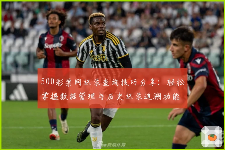 500彩票网记录查询技巧分享：轻松掌握数据管理与历史记录追溯功能