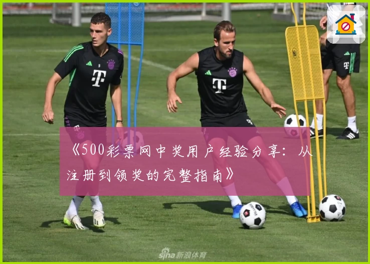 《500彩票网中奖用户经验分享：从注册到领奖的完整指南》