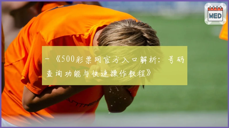 - 《500彩票网官方入口解析：号码查询功能与快速操作教程》