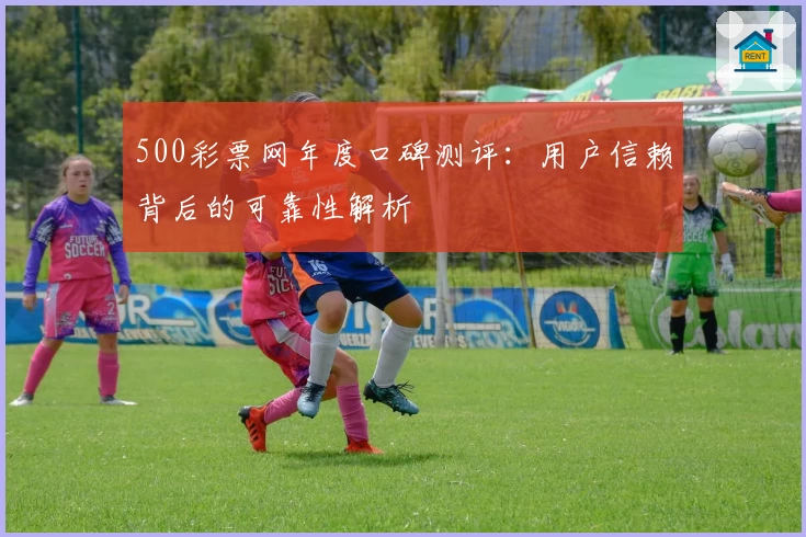 500彩票网年度口碑测评：用户信赖背后的可靠性解析